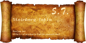 Steinberg Tekla névjegykártya